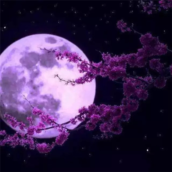 天文奇观