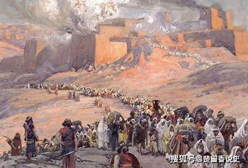 麻继刚，11月9日的奇妙探险与心灵自然之旅