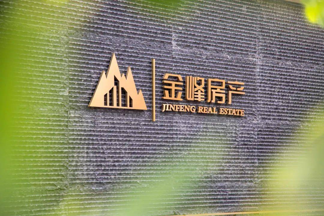 历史上的11月17日长乐金峰房价动态与市场深度解读，最新消息与市场趋势分析