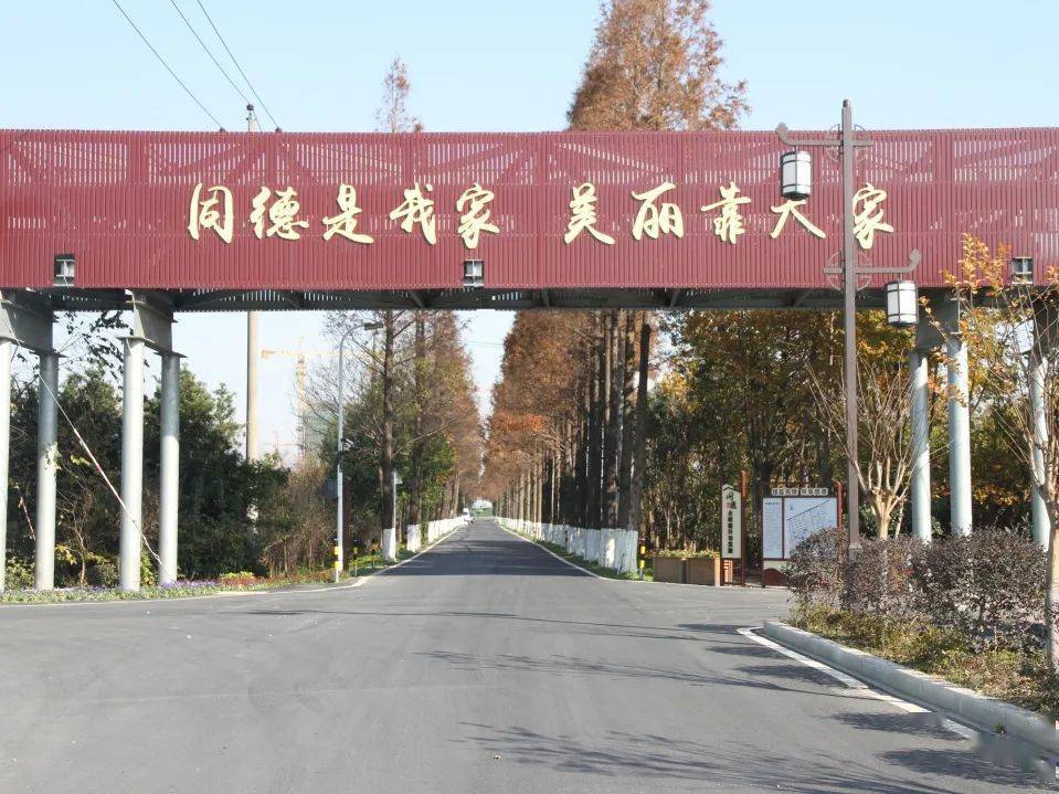 空谷幽兰 第3页