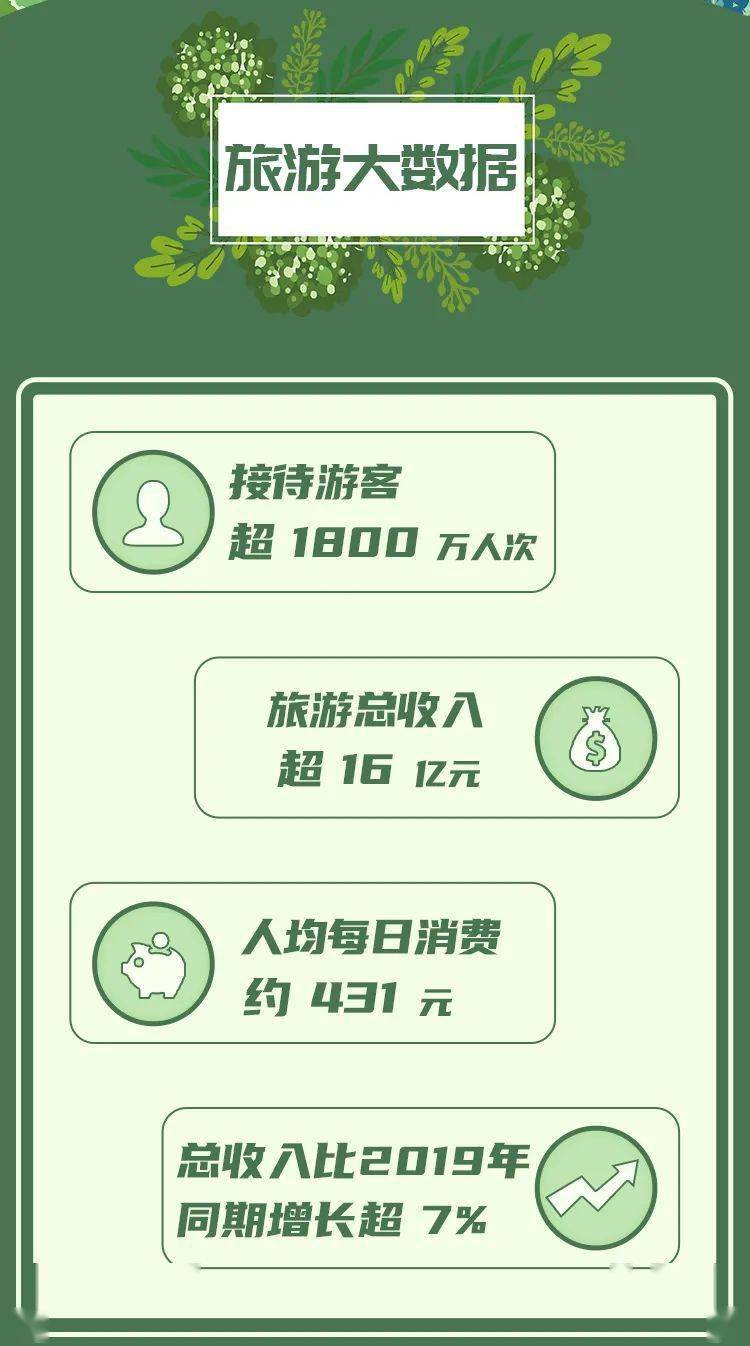 电视深度报道的精准解读与深度剖析