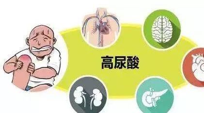 2025年2月8日 第4页