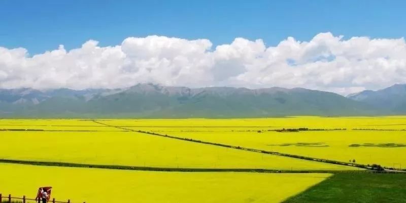 温柔敦厚