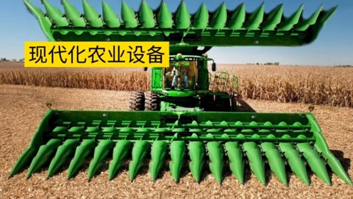 洵属可贵