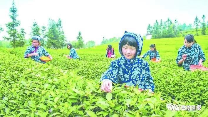 2025年5月20日 第4页
