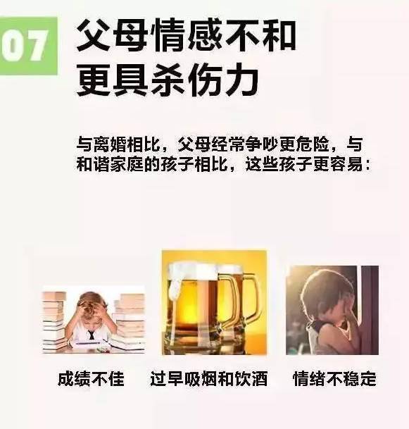 鸿飞雪爪