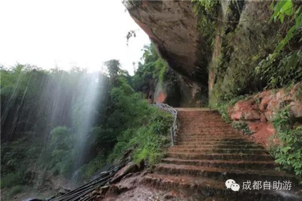 首鼠两端