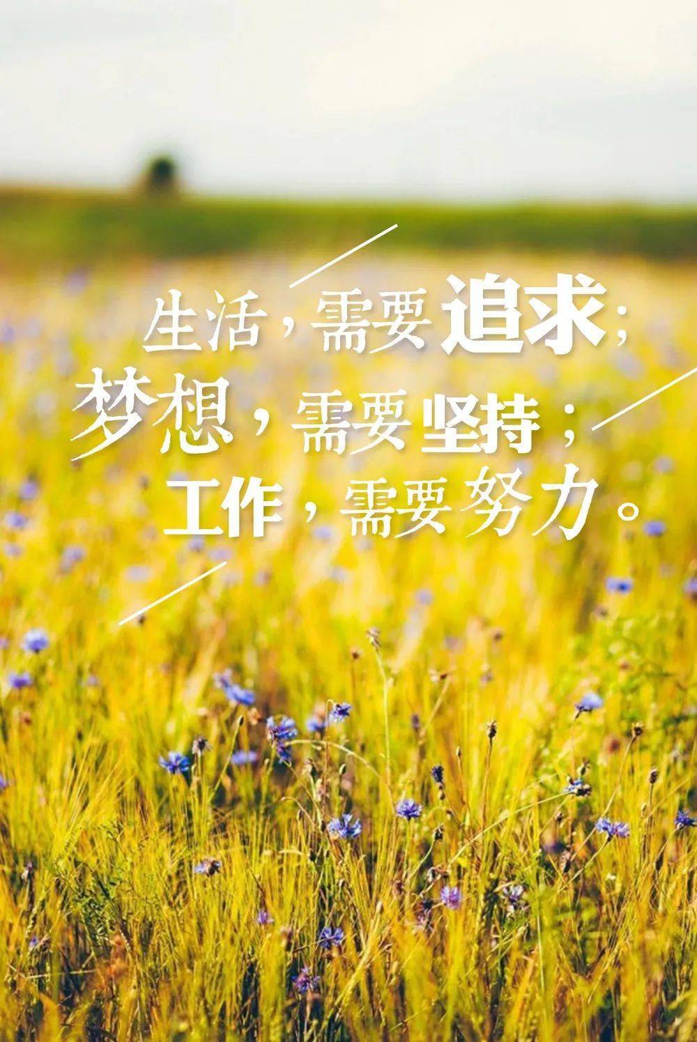 2025年6月18日